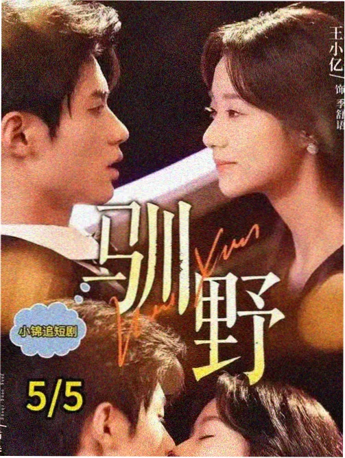 欧美剧集中央公园西海报